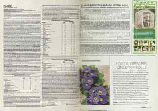 Better Homes & Gardens February 2004 Magazine Article: Page 110