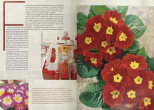 Better Homes & Gardens February 2004 Magazine Article: Page 144