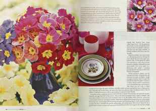Better Homes & Gardens February 2004 Magazine Article: Page 146