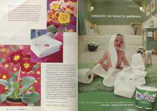 Better Homes & Gardens February 2004 Magazine Article: Page 148