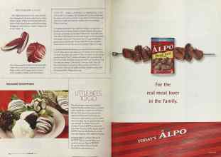 Better Homes & Gardens February 2004 Magazine Article: Page 212