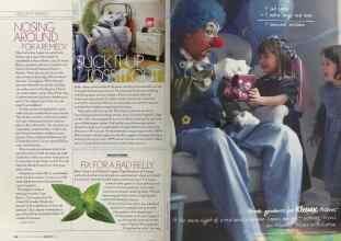 Better Homes & Gardens February 2004 Magazine Article: Page 222