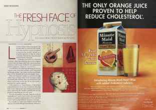 Better Homes & Gardens February 2004 Magazine Article: Page 226