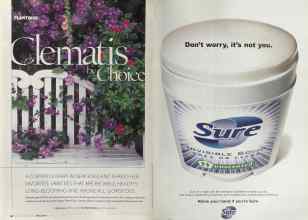 Better Homes & Gardens April 2004 Magazine Article: Page 50