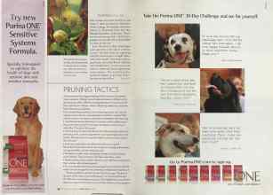 Better Homes & Gardens April 2004 Magazine Article: Page 58