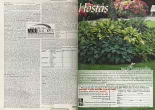 Better Homes & Gardens April 2004 Magazine Article: Page 82