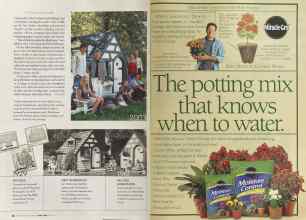 Better Homes & Gardens April 2004 Magazine Article: Page 86