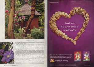 Better Homes & Gardens April 2004 Magazine Article: Page 118