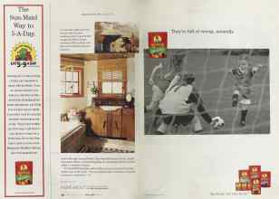 Better Homes & Gardens April 2004 Magazine Article: Page 162