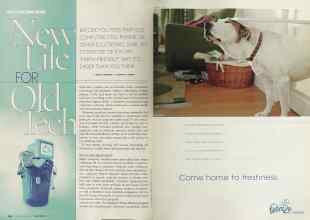 Better Homes & Gardens April 2004 Magazine Article: Page 196