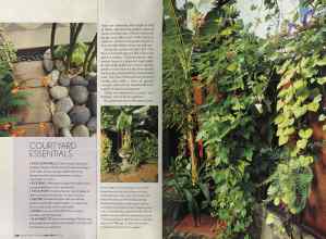 Better Homes & Gardens April 2004 Magazine Article: Page 218