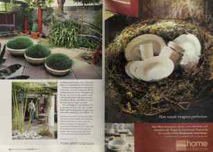 Better Homes & Gardens April 2004 Magazine Article: Page 222