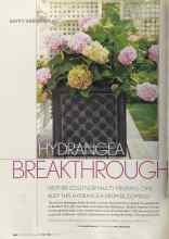 Better Homes & Gardens May 2004 Magazine Article: HYDRANGEA BREAKTHROUGH