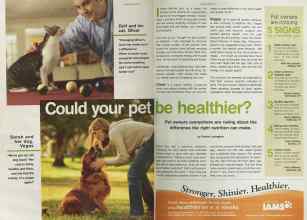 Better Homes & Gardens May 2004 Magazine Article: Page 90