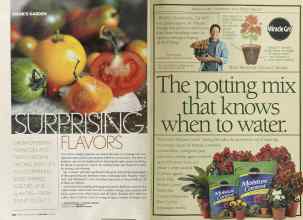 Better Homes & Gardens May 2004 Magazine Article: Page 140