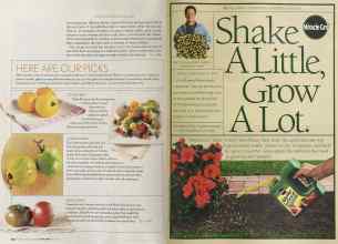 Better Homes & Gardens May 2004 Magazine Article: Page 142