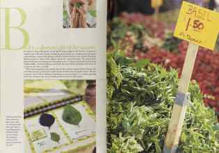 Better Homes & Gardens May 2004 Magazine Article: Page 212