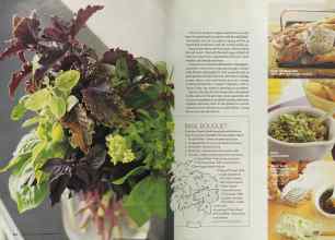 Better Homes & Gardens May 2004 Magazine Article: Page 214