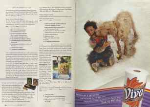Better Homes & Gardens May 2004 Magazine Article: Page 246
