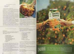 Better Homes & Gardens May 2004 Magazine Article: Page 248