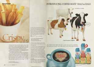 Better Homes & Gardens May 2004 Magazine Article: Page 254