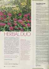 Better Homes & Gardens June 2004 Magazine Article: HERBAL DUO