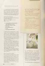 Better Homes & Gardens June 2004 Magazine Article: SUMMER TOTE