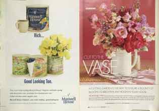 Better Homes & Gardens June 2004 Magazine Article: Page 81