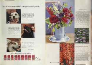 Better Homes & Gardens June 2004 Magazine Article: Page 87