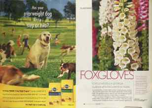 Better Homes & Gardens June 2004 Magazine Article: Page 117