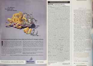 Better Homes & Gardens June 2004 Magazine Article: Page 129