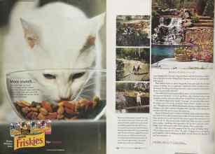 Better Homes & Gardens June 2004 Magazine Article: Page 135