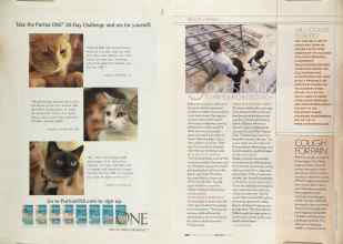 Better Homes & Gardens June 2004 Magazine Article: Page 289