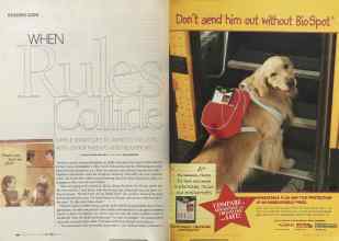 Better Homes & Gardens July 2004 Magazine Article: Page 144