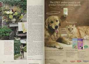 Better Homes & Gardens July 2004 Magazine Article: Page 160