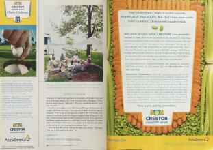 Better Homes & Gardens August 2004 Magazine Article: Page 40