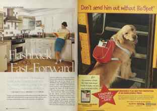 Better Homes & Gardens August 2004 Magazine Article: Page 82