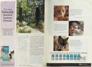 Better Homes & Gardens August 2004 Magazine Article: Page 96