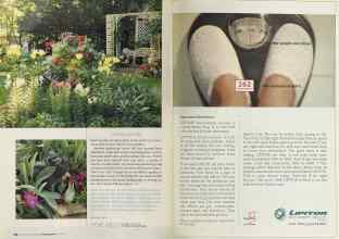 Better Homes & Gardens August 2004 Magazine Article: Page 98