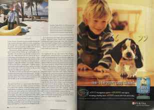 Better Homes & Gardens August 2004 Magazine Article: Page 174