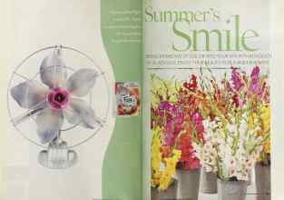 Better Homes & Gardens August 2004 Magazine Article: Page 200