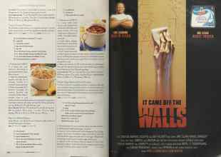 Better Homes & Gardens August 2004 Magazine Article: Page 236