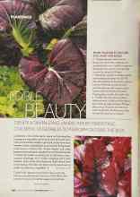Better Homes & Gardens September 2004 Magazine Article: EDIBLE BEAUTY