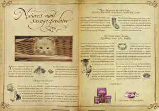 Better Homes & Gardens September 2004 Magazine Article: Page 20