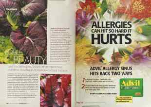 Better Homes & Gardens September 2004 Magazine Article: Page 138