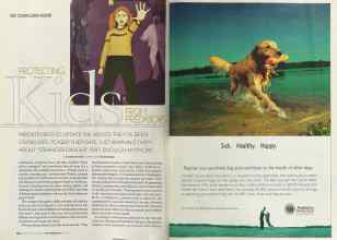 Better Homes & Gardens September 2004 Magazine Article: Page 176