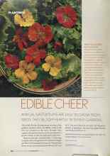 Better Homes & Gardens October 2004 Magazine Article: EDIBLE CHEER
