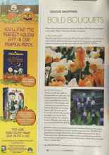 Better Homes & Gardens October 2004 Magazine Article: BOLD BOUQUETS