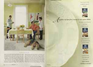 Better Homes & Gardens October 2004 Magazine Article: Page 42