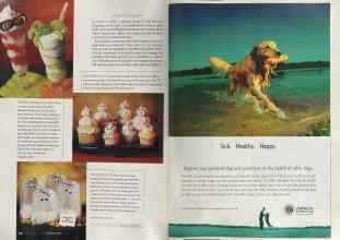 Better Homes & Gardens October 2004 Magazine Article: Page 156